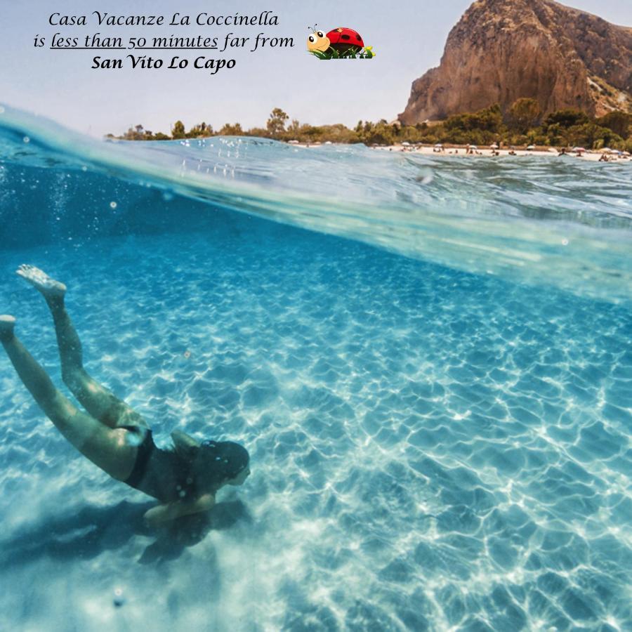טרפאני Casa Vacanze La Coccinella מראה חיצוני תמונה